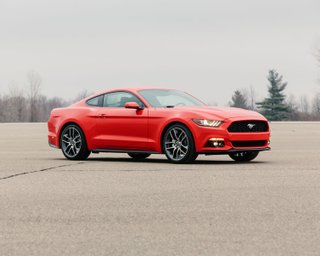 Illustration for article titled 2015 Mustang Photo Dump